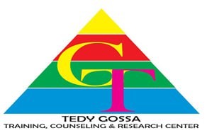 GT Consultancy