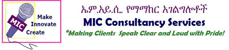 MIC Consultancy